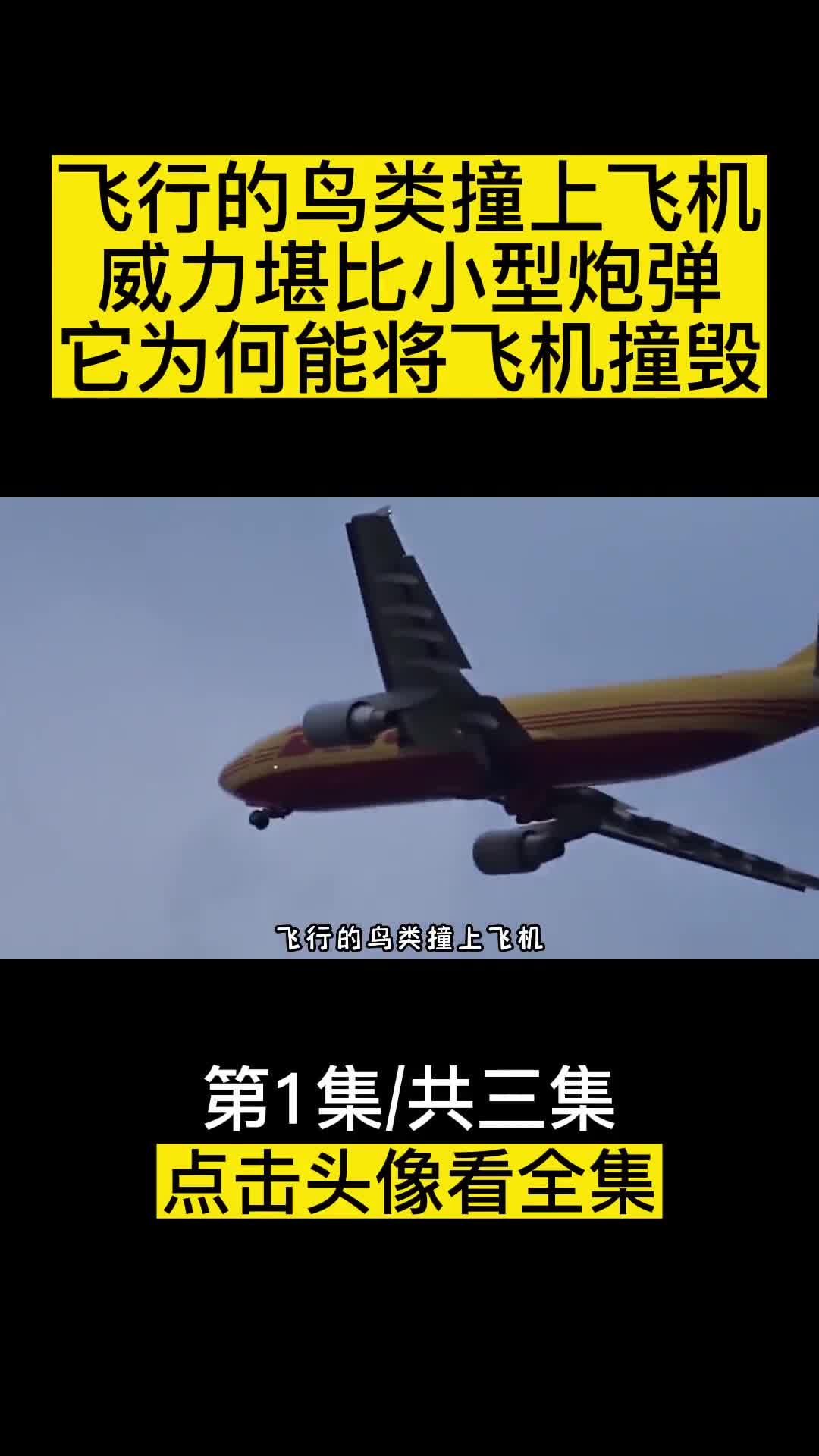 飞行的鸟类撞上飞机威力堪比小型炮弹它为何能将飞机撞毁