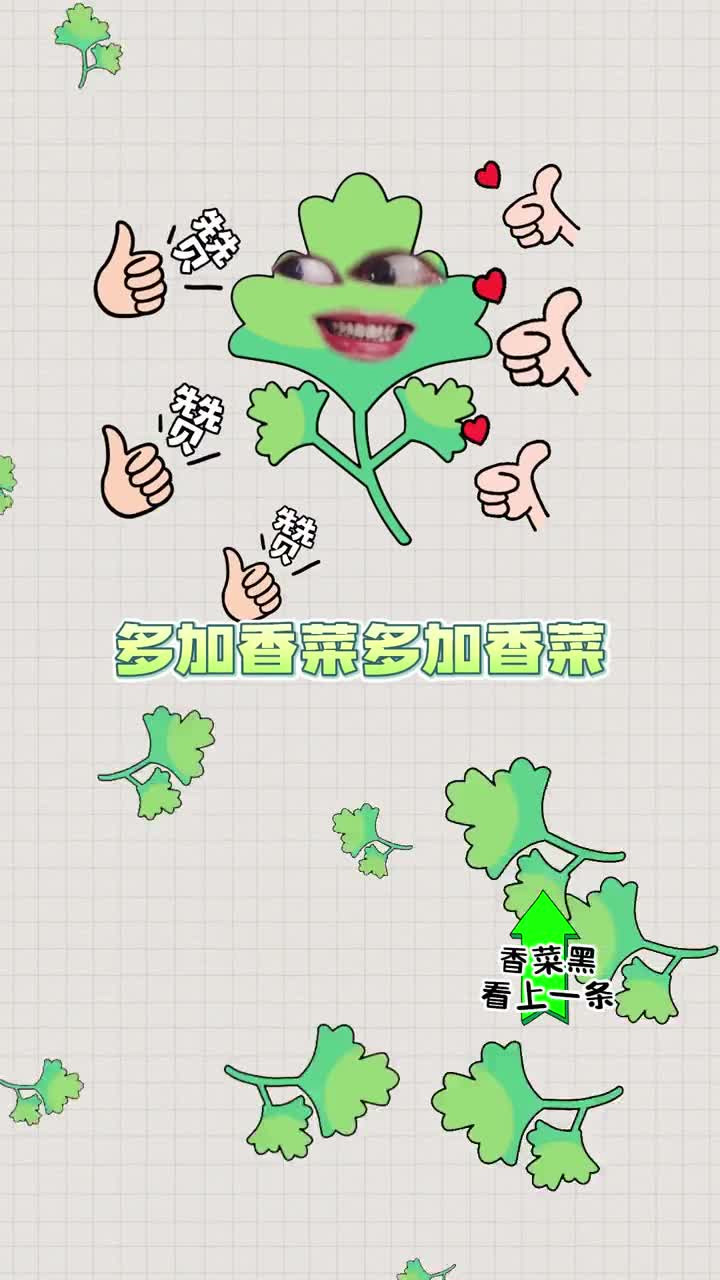 你为什么是香菜党