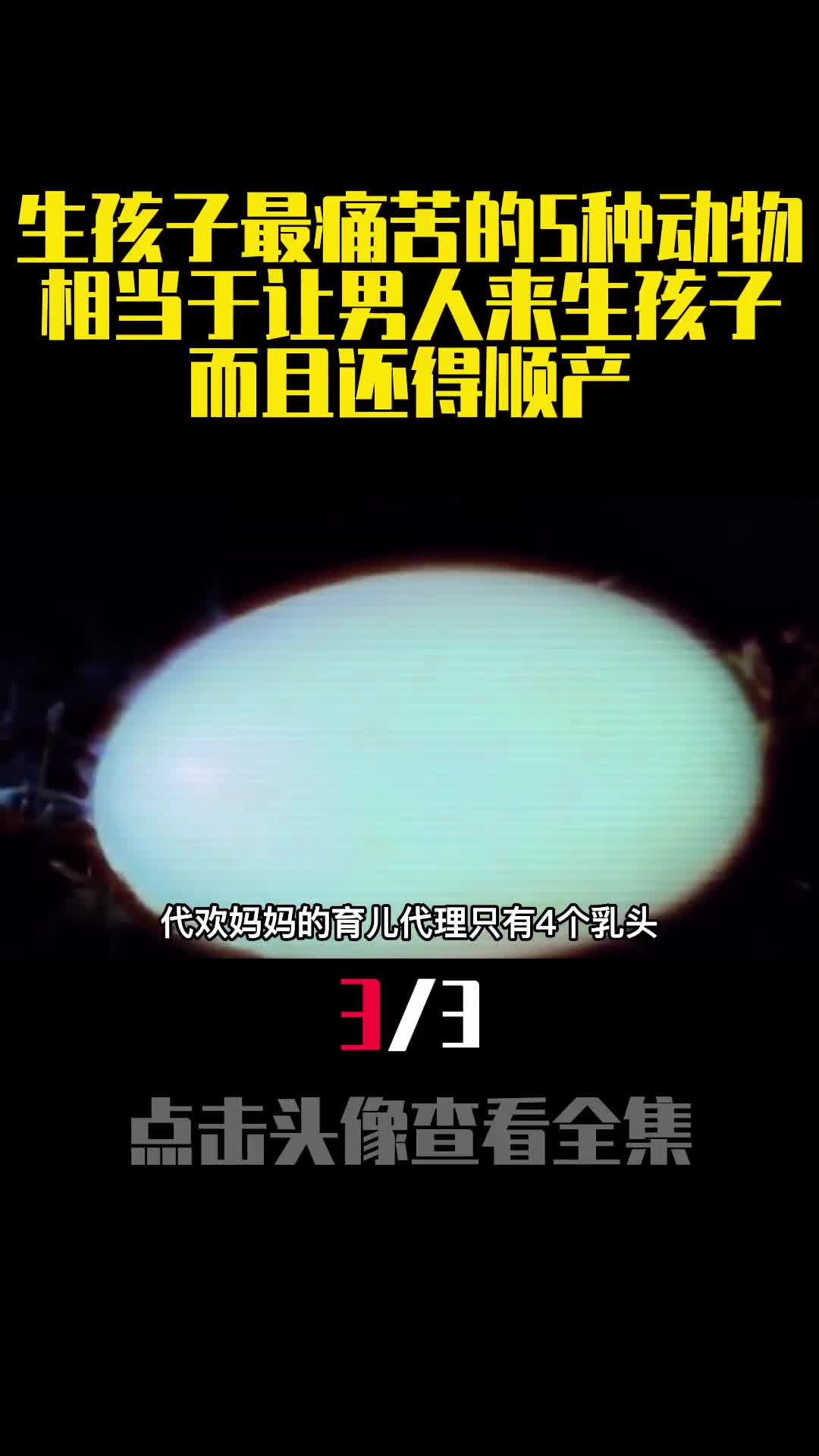 生孩子最痛苦的5种动物相当于让男人来生孩子而且还得顺产3