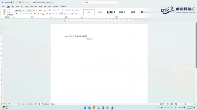 word开发工具选项卡在哪里