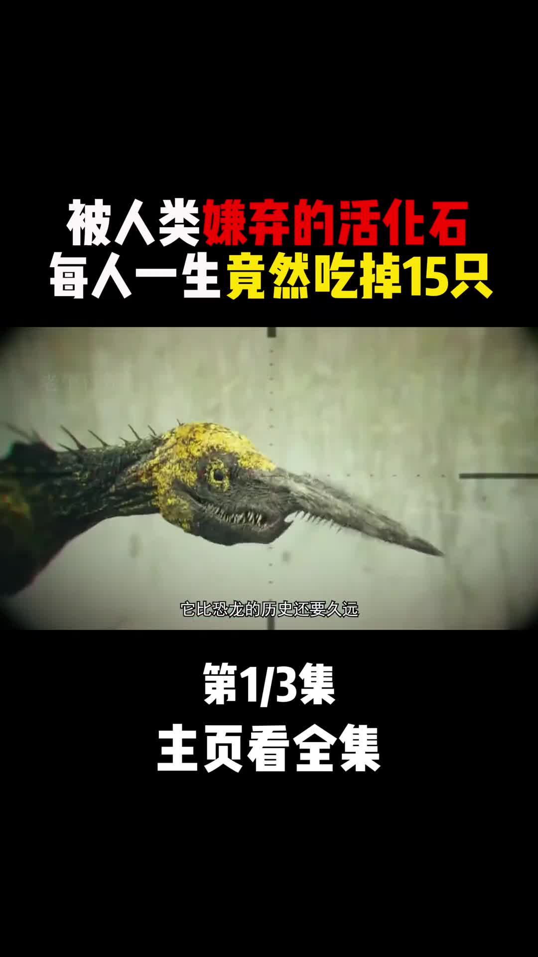 存活了4亿年的活化石如果放任蟑螂不管它真的会称霸地球吗1