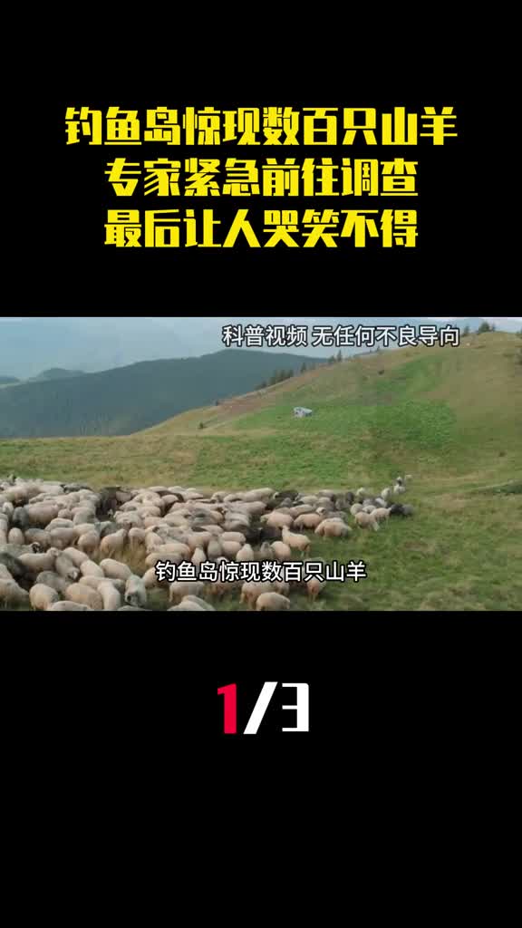 钓鱼岛惊现数百只山羊专家紧急前往调查最后让人哭笑不得1