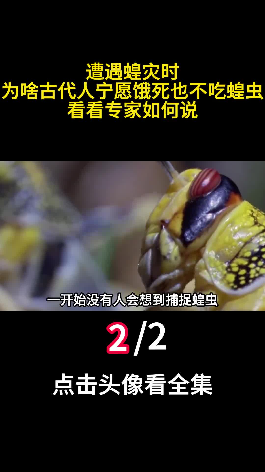 遭遇蝗灾时为啥古代人宁愿饿死也不吃蝗虫看看专家如何说2