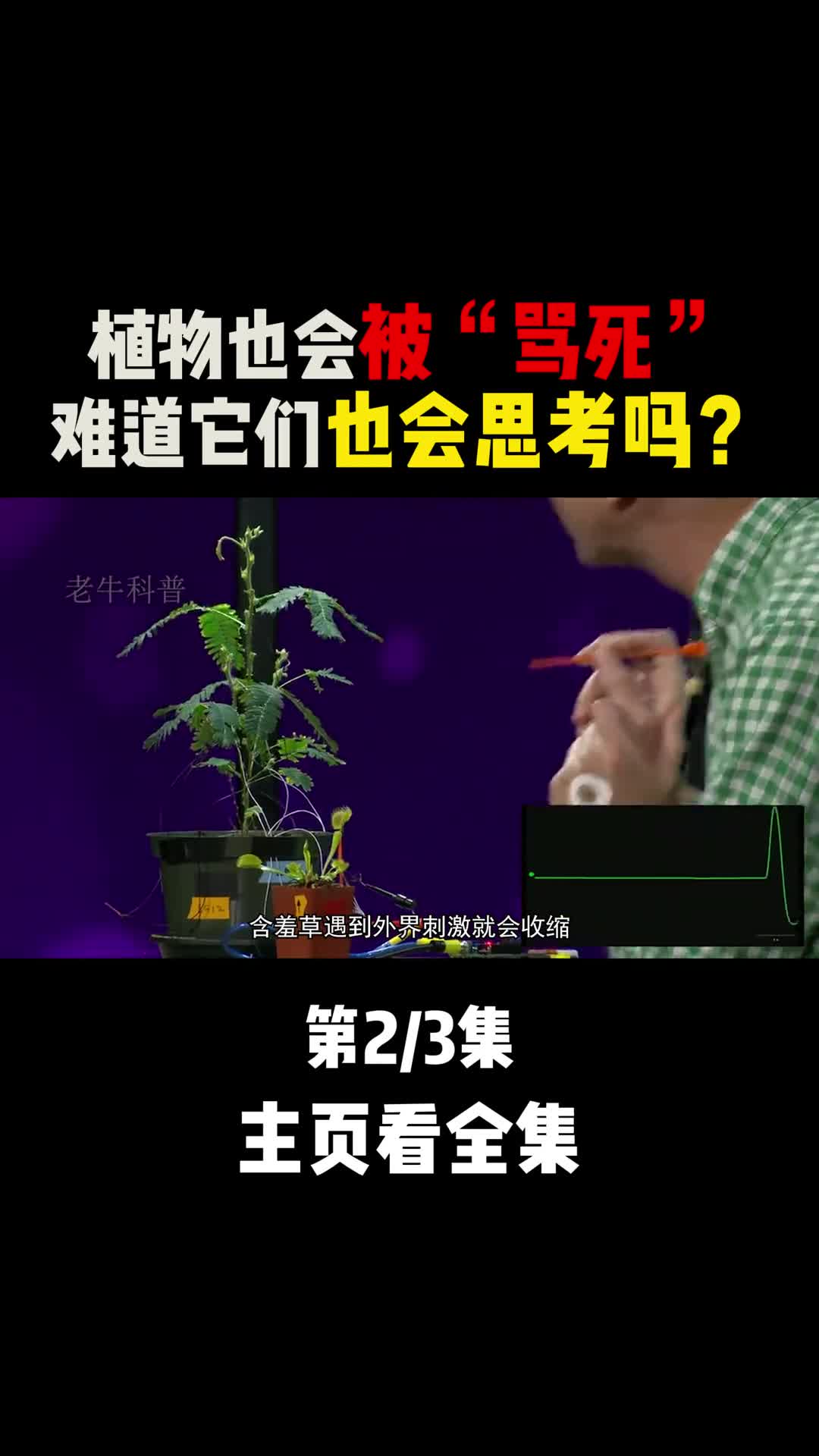 会思考还记仇的植物们原来植物也会被语言暴力骂死