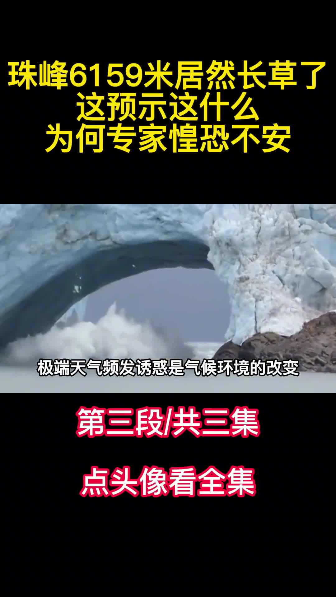 珠峰6159米居然长草了这预示这什么为何专家惶恐不安3