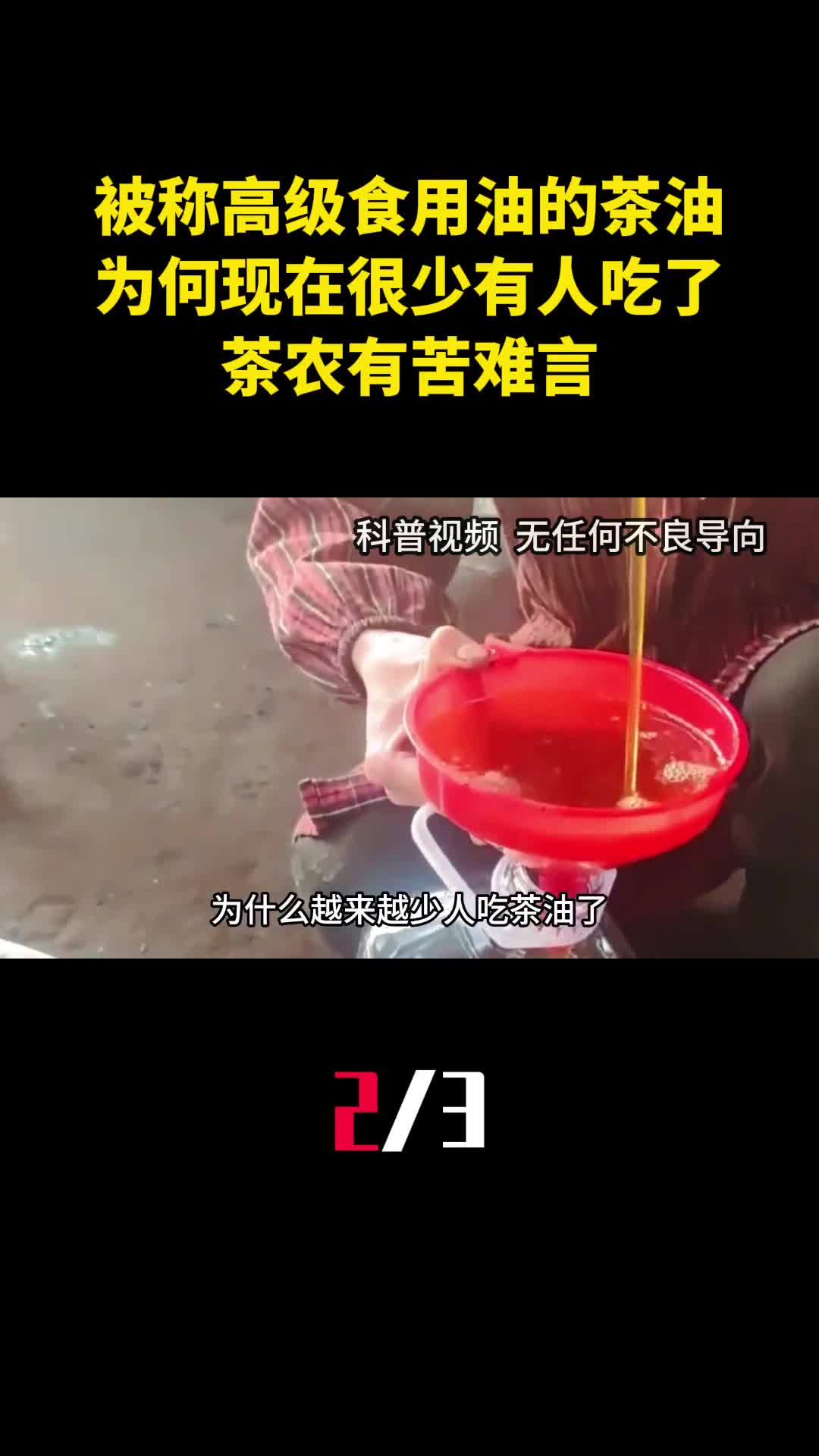 被称为高级食用油的茶油为何现在很少有人吃了茶农有苦难言2