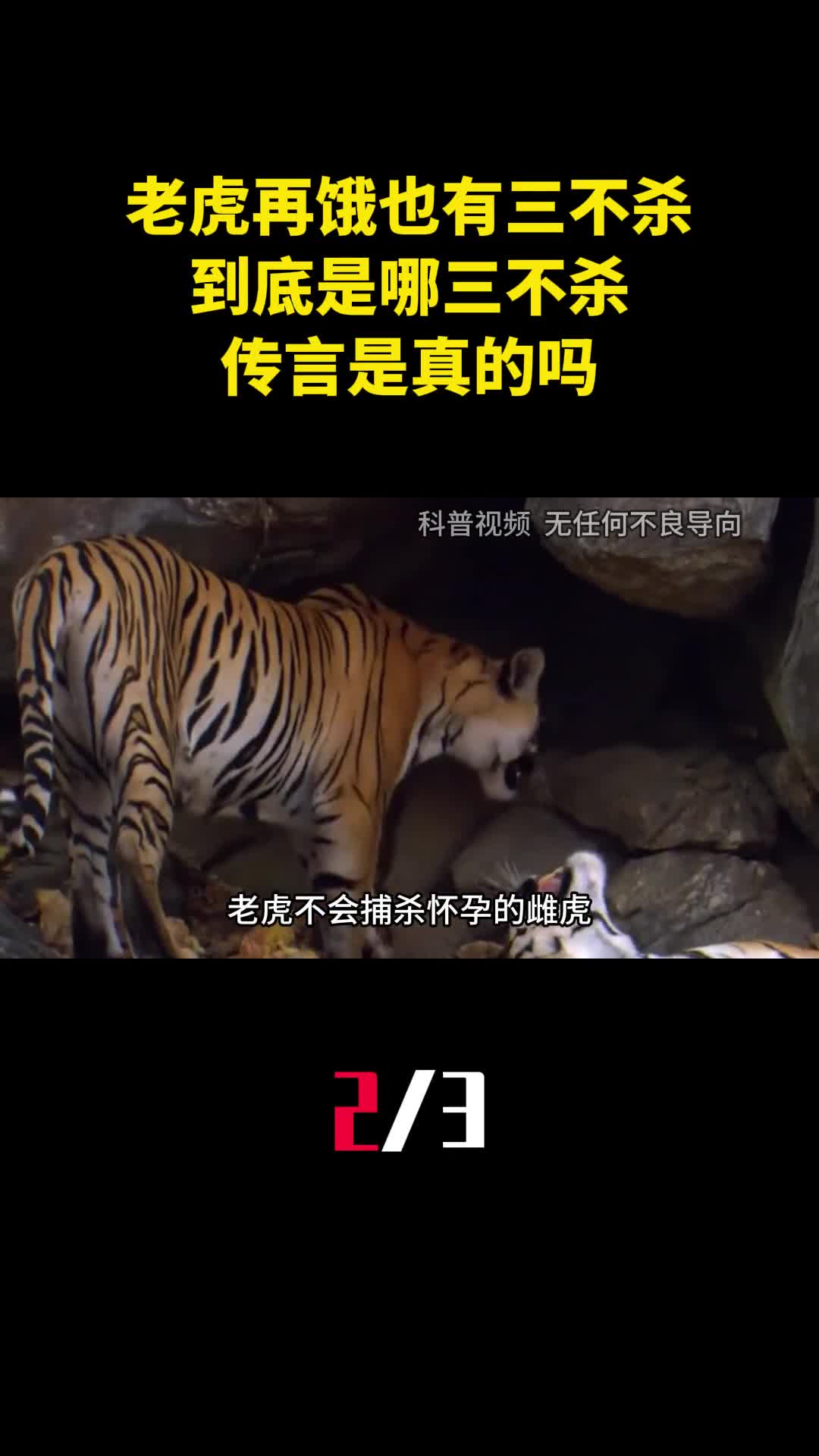 老虎再饿也有三不杀到底是哪三不杀传言是真的吗2