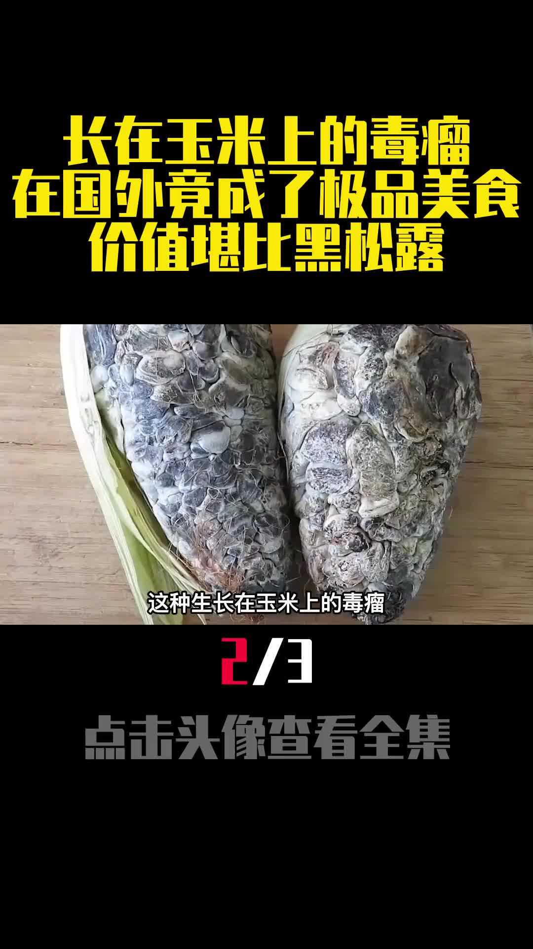 长在玉米上的毒瘤在国外竟成了极品美食价值堪比黑松露2