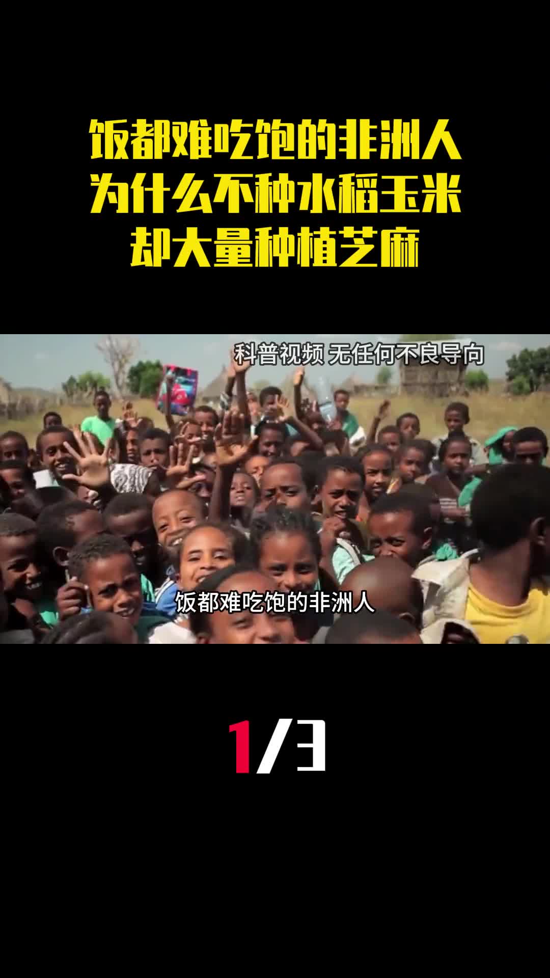 饭都难吃饱的非洲人为什么不种水稻玉米却大量种植芝麻1