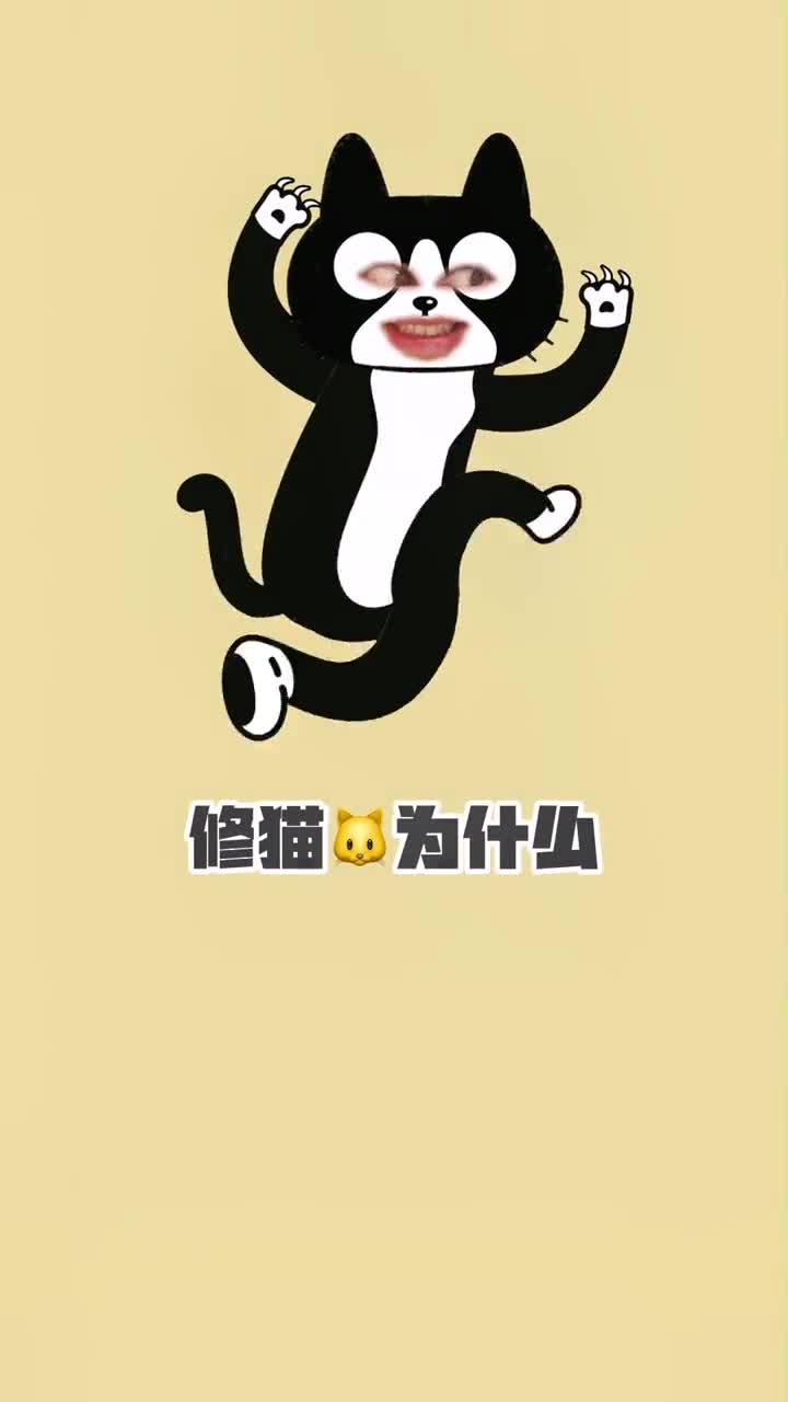猫咪为什么喜欢抓老鼠