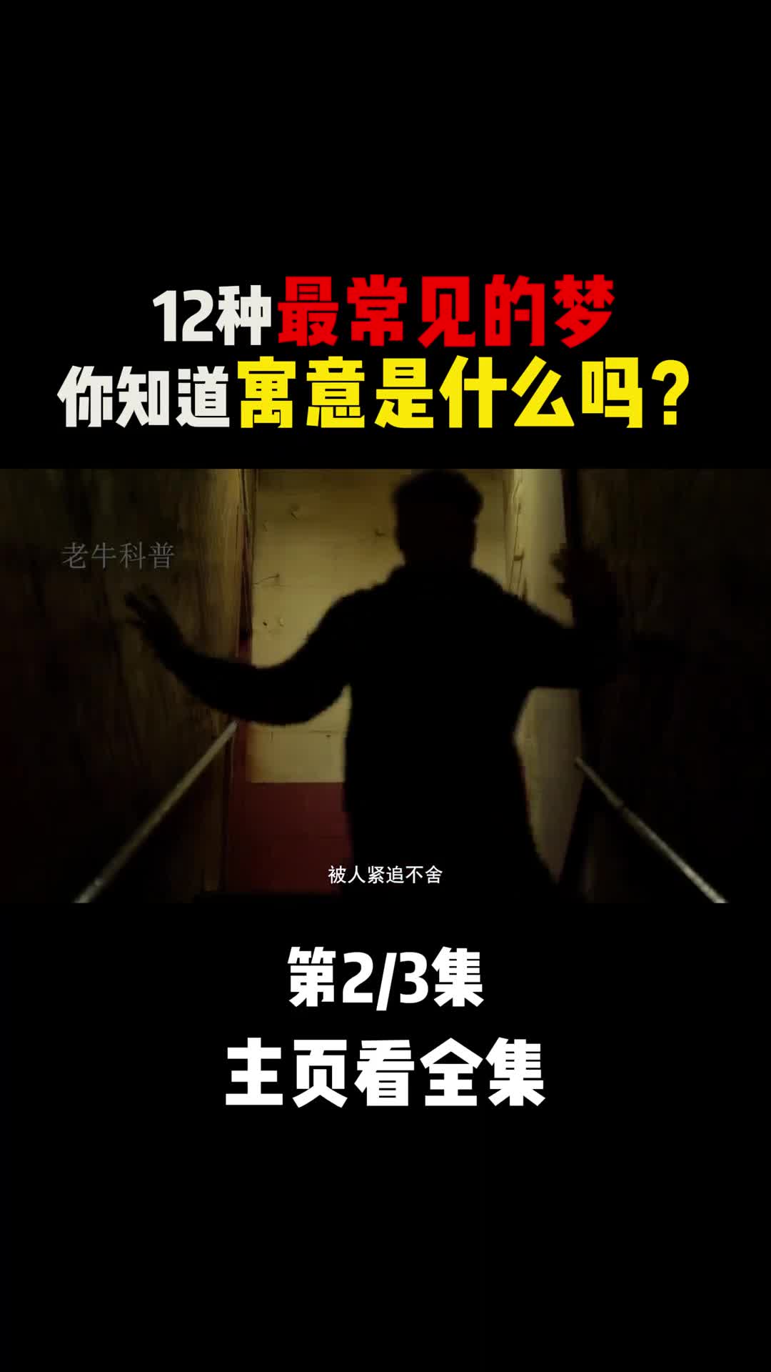 12种最常见的梦你知道都代表什么吗