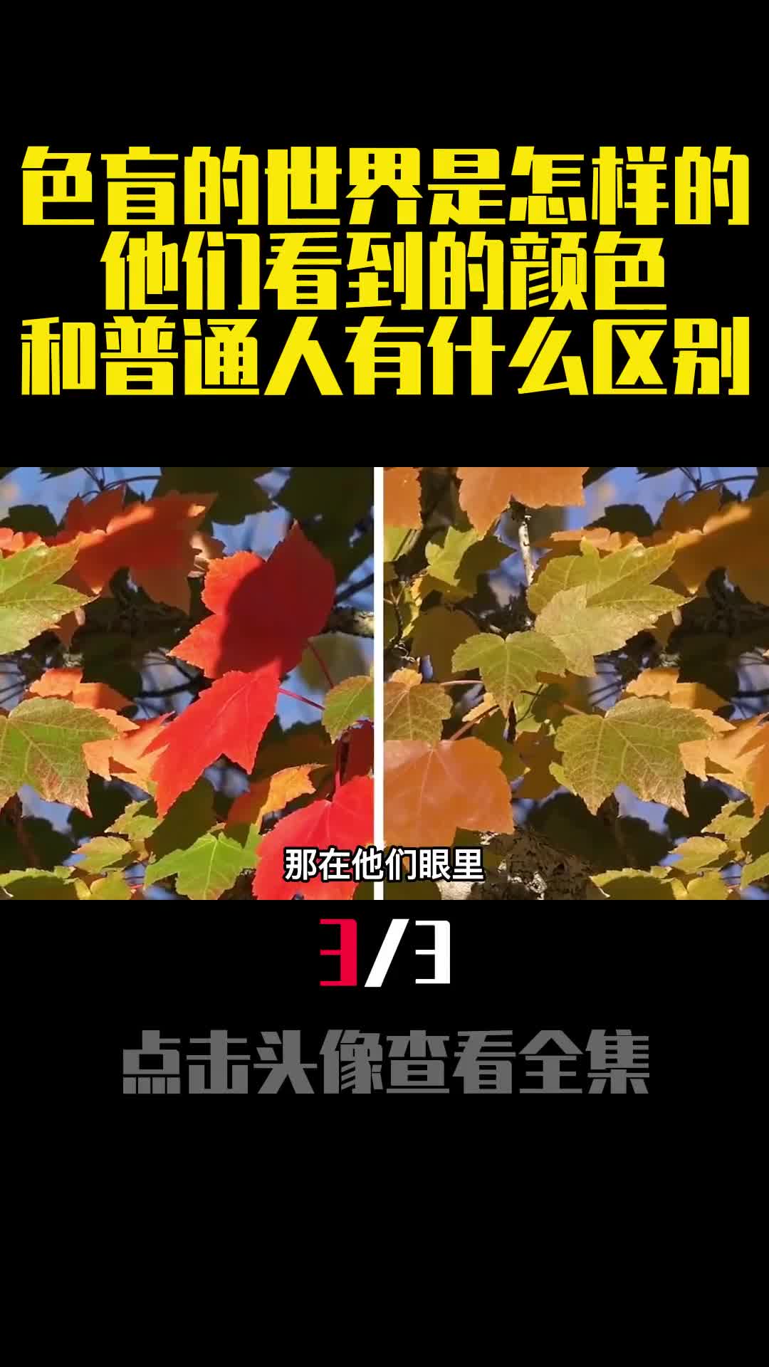 色盲的世界是怎样的他们看到的颜色和普通人有什么区别3