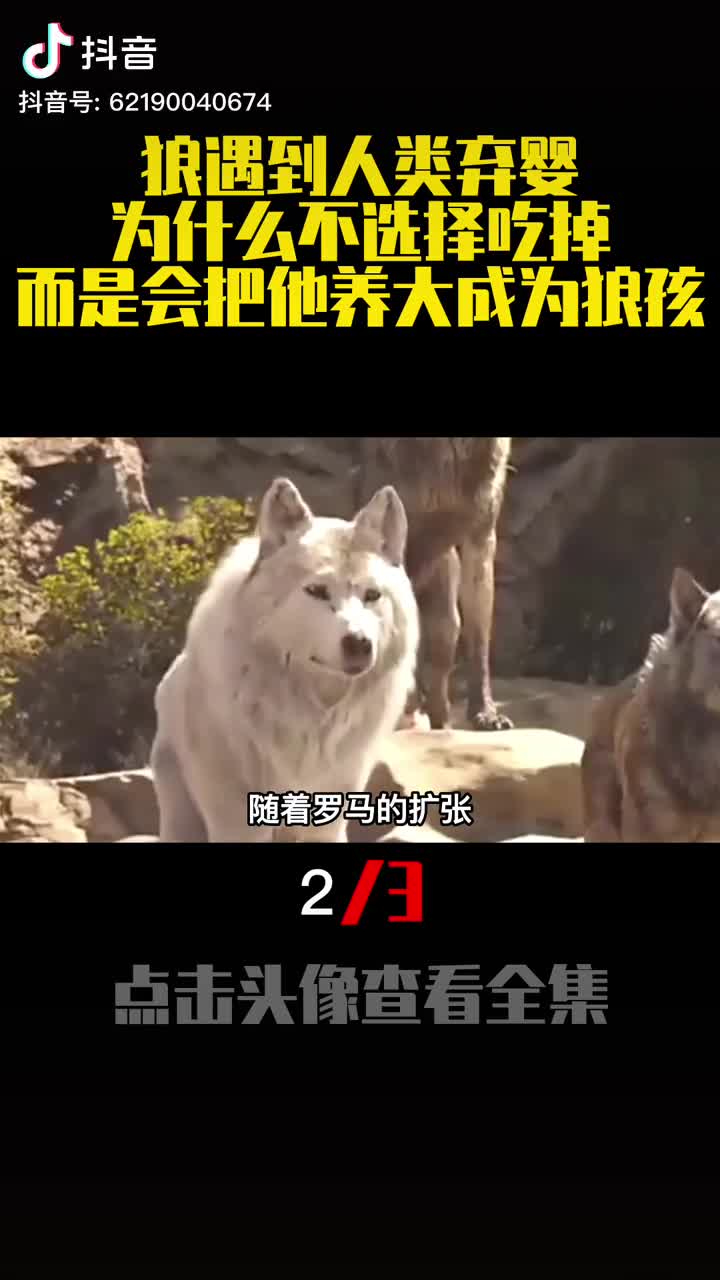 狼遇到人类弃婴为什么不选择吃掉而是会把他养大成为狼孩2