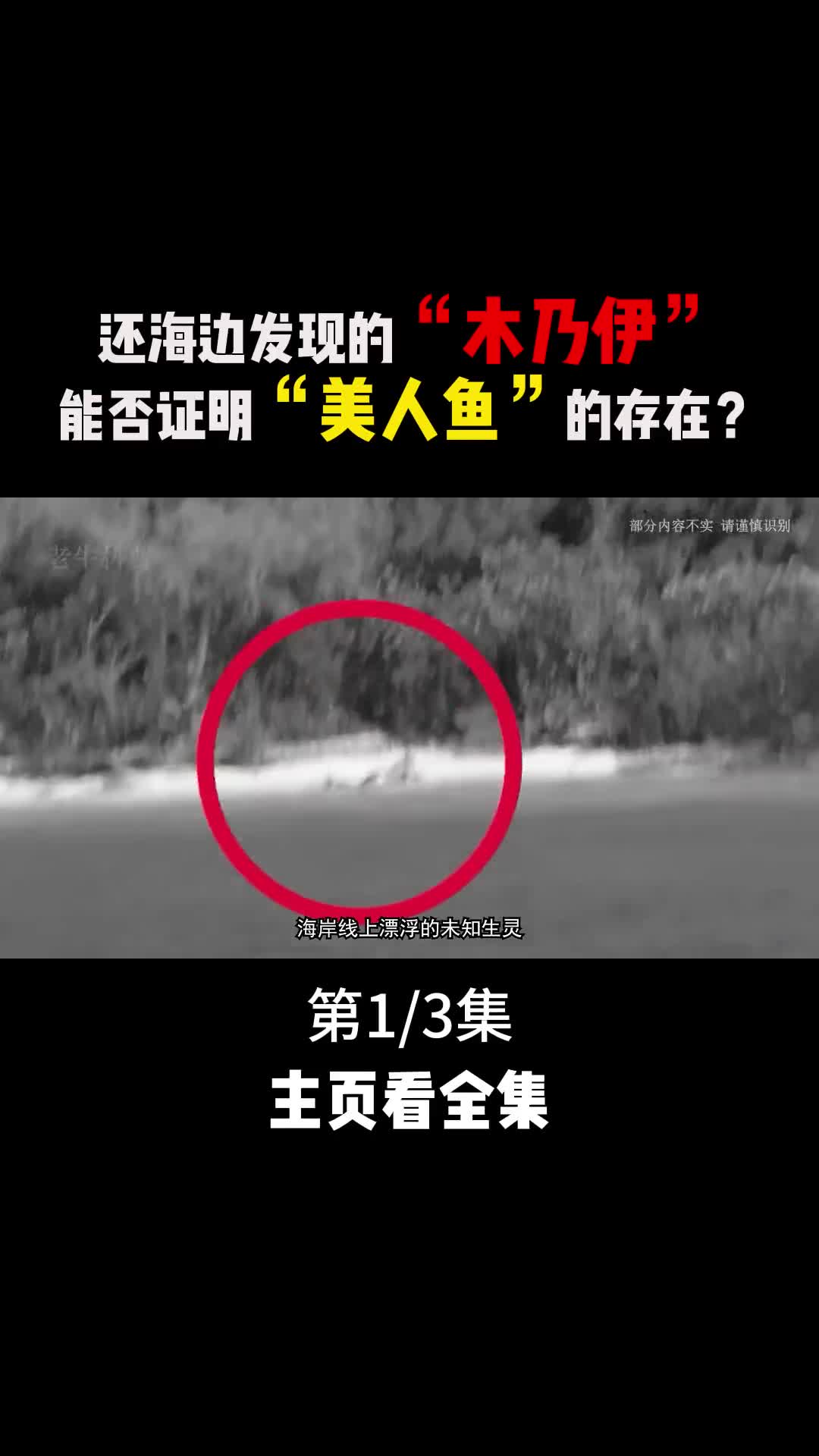 一件件目击事件解开了千年的谜题美人鱼竟真的存在1