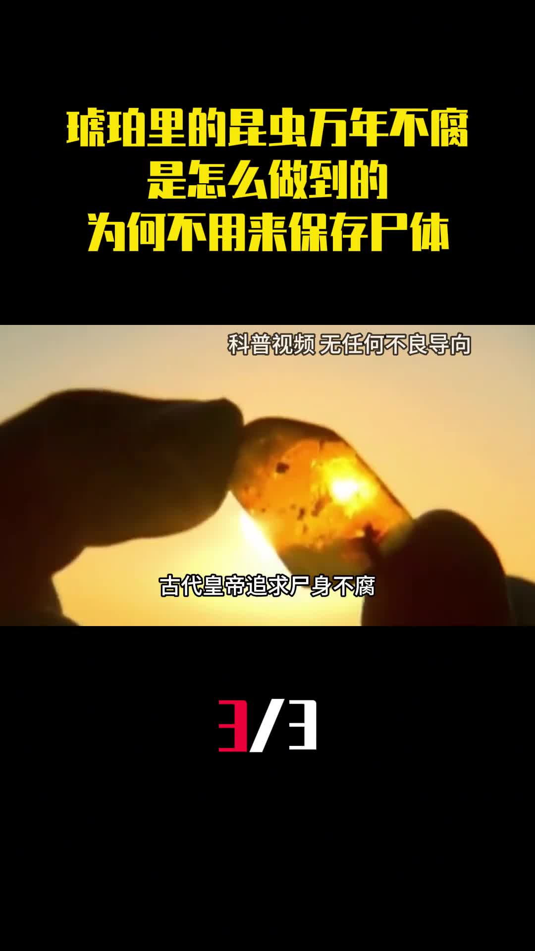 琥珀里的昆虫万年不腐是怎么做到的古人为何不用来保存尸体3