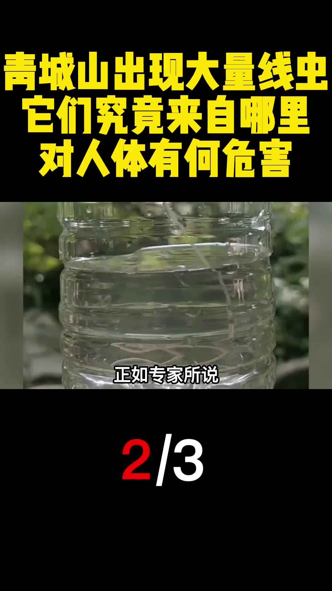 青城山出现大量线虫它们究竟来自哪里对人体有何危害2