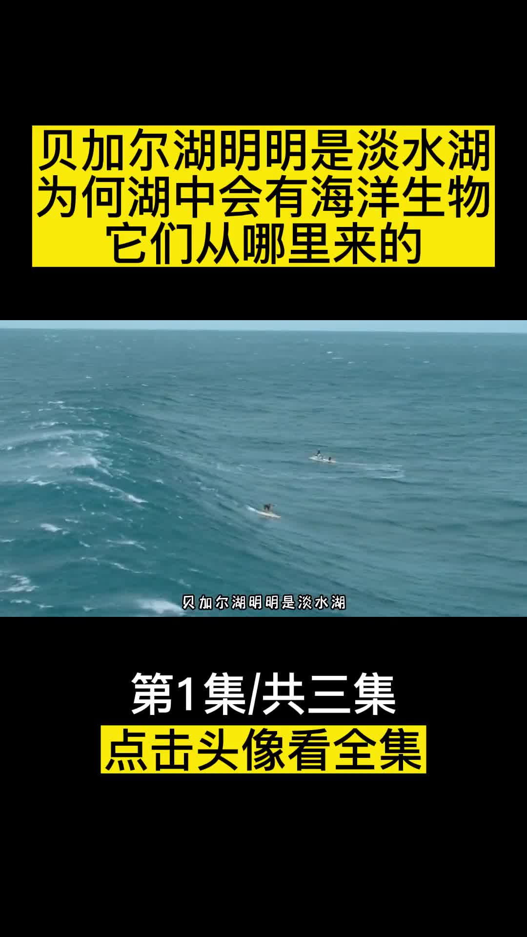 贝加尔湖明明是淡水湖为何湖中会有海洋生物它们从哪里来的