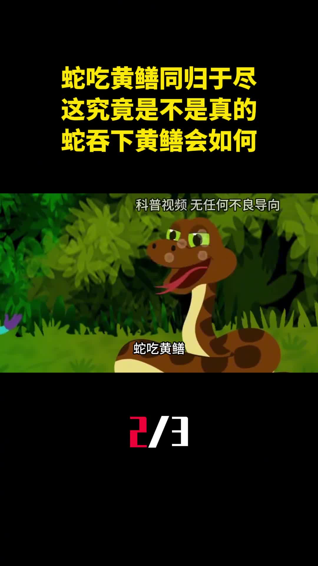 蛇吃黄鳝同归于尽这究竟是不是真的蛇吞下黄鳝会如何2