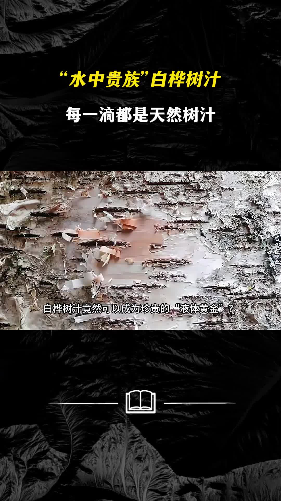 液体黄金白桦树汁每一滴都是桦树精华