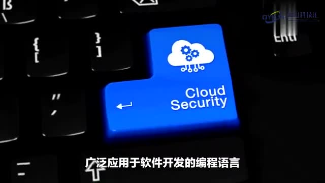 深入剖析java在云安全领域的应用与挑战