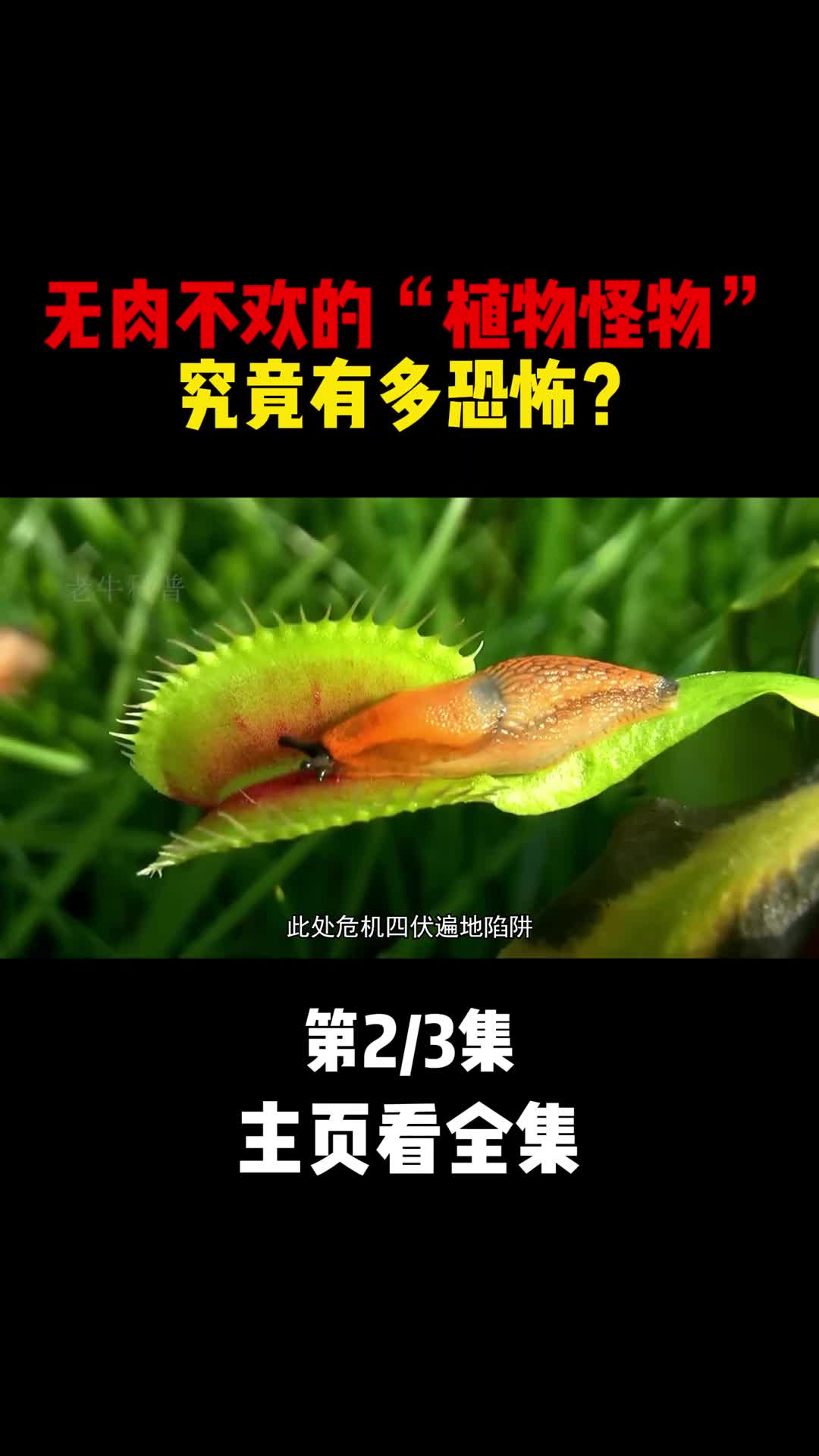 无肉不欢的植物怪物究竟有多恐怖2