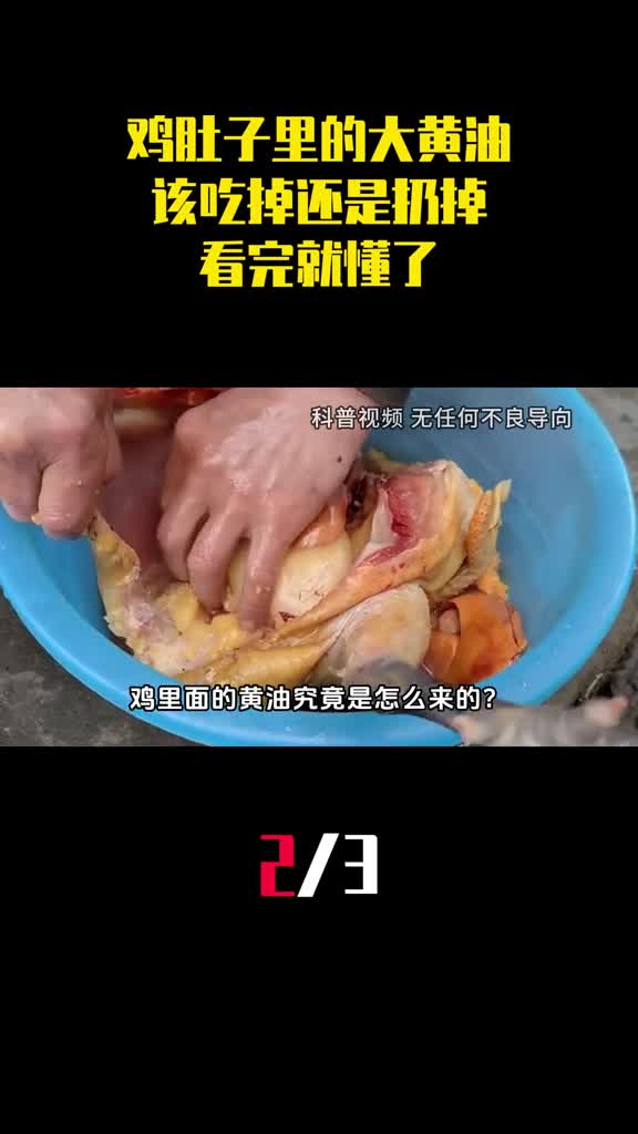 鸡肚子里面有一块大黄油该吃掉还是扔掉看完就懂了2