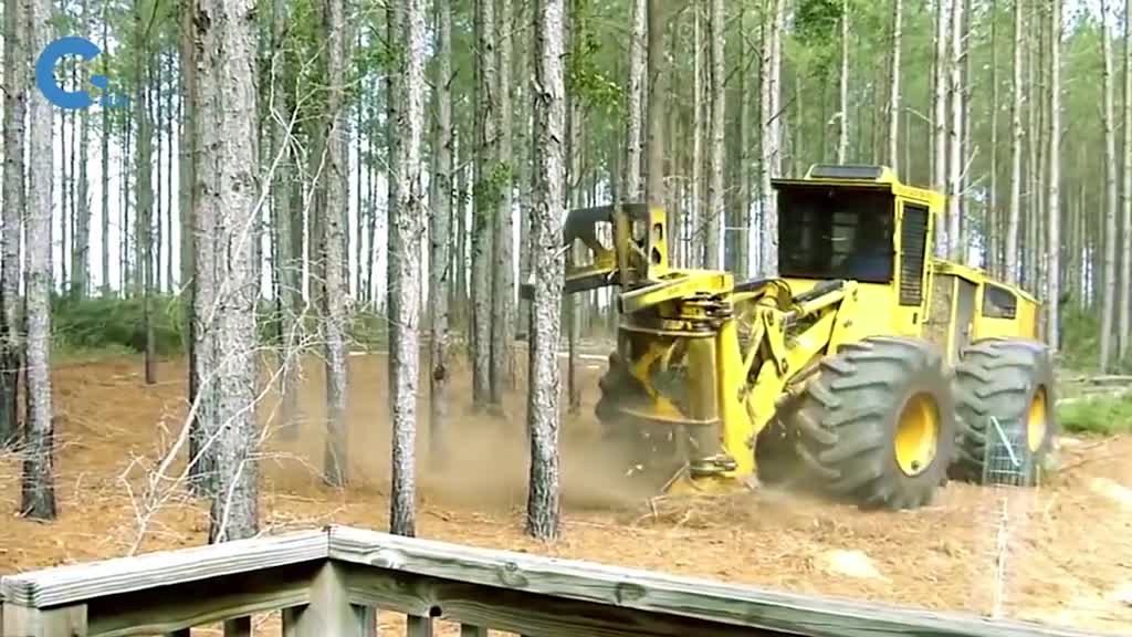 不可思议的树木归堆机砍倒树木并抱在怀里