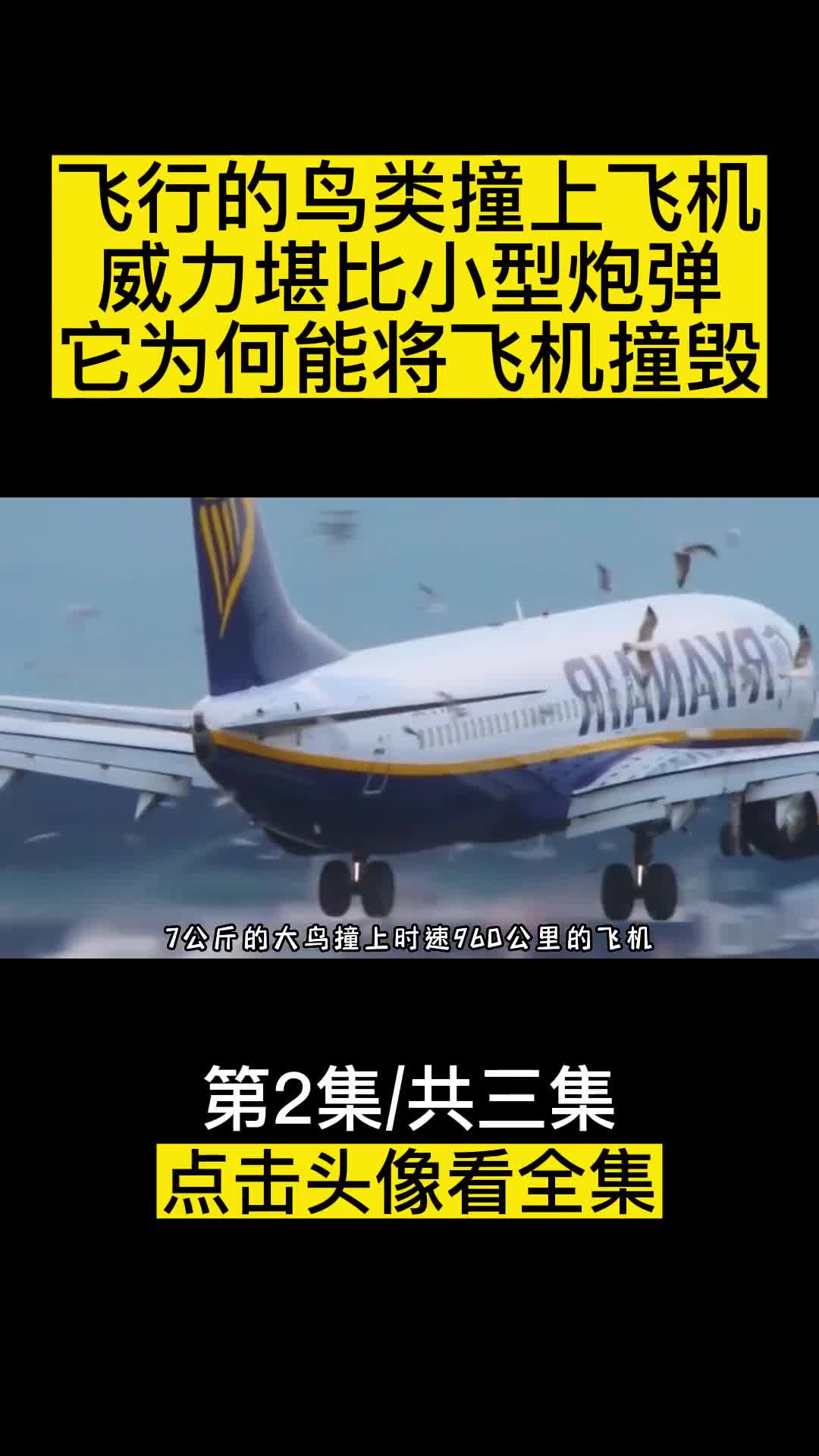 飞行的鸟类撞上飞机威力堪比小型炮弹它为何能将飞机撞毁