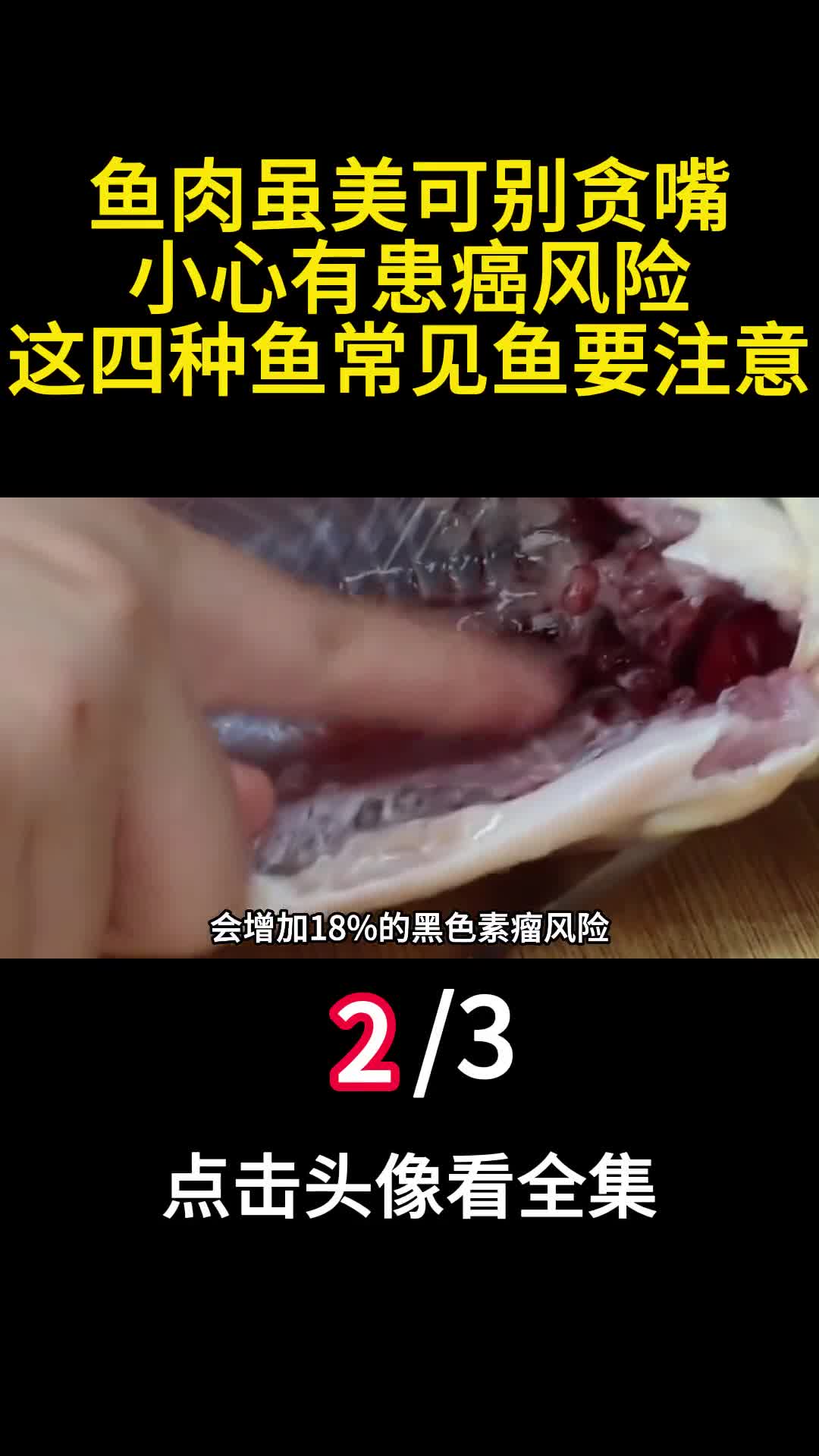 鱼肉虽美可别贪嘴小心有患癌风险这四种鱼常见鱼要注意2