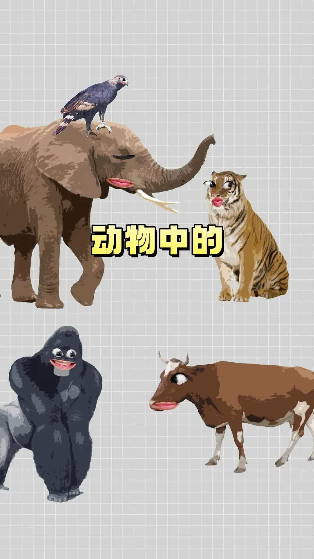 这竟然是世界上力气最大的动物