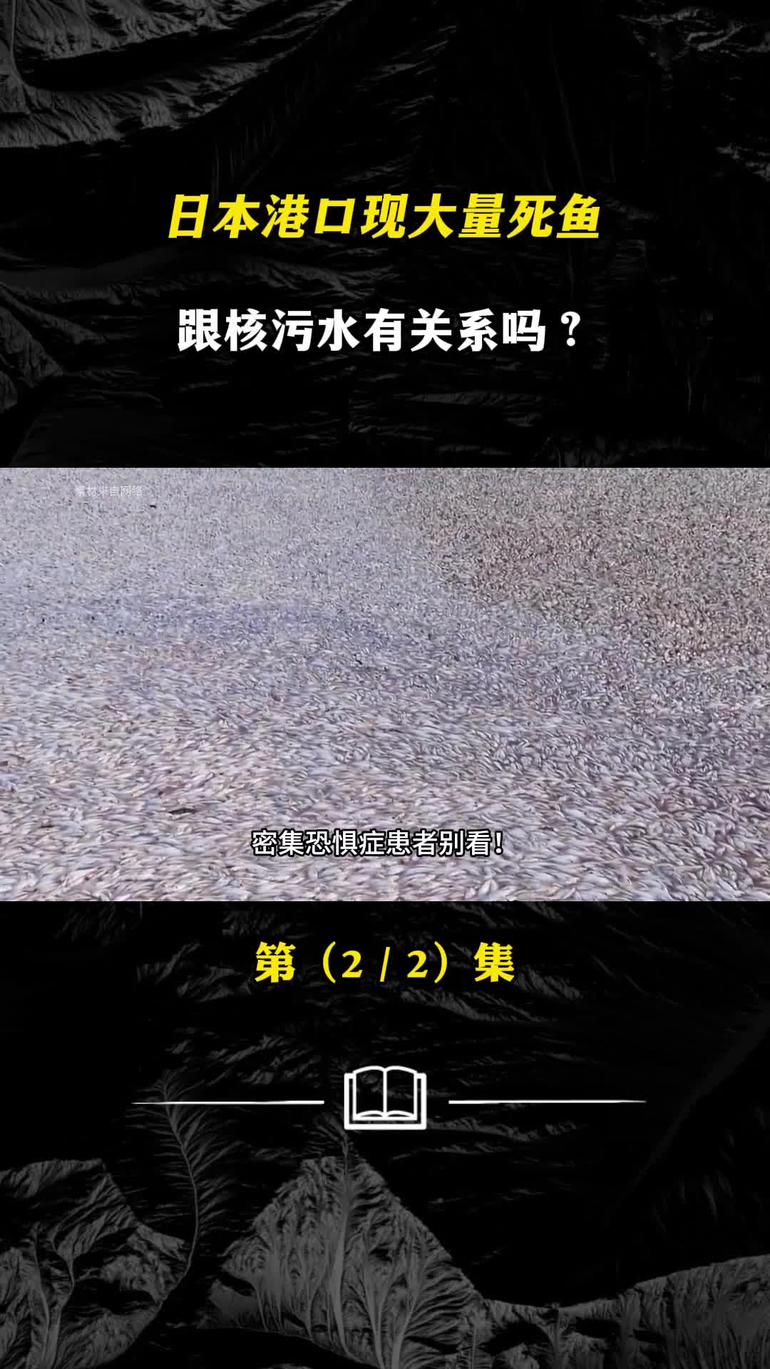 日本港口现大量死鱼当地海洋生态环境恶劣跟核污水有关吗