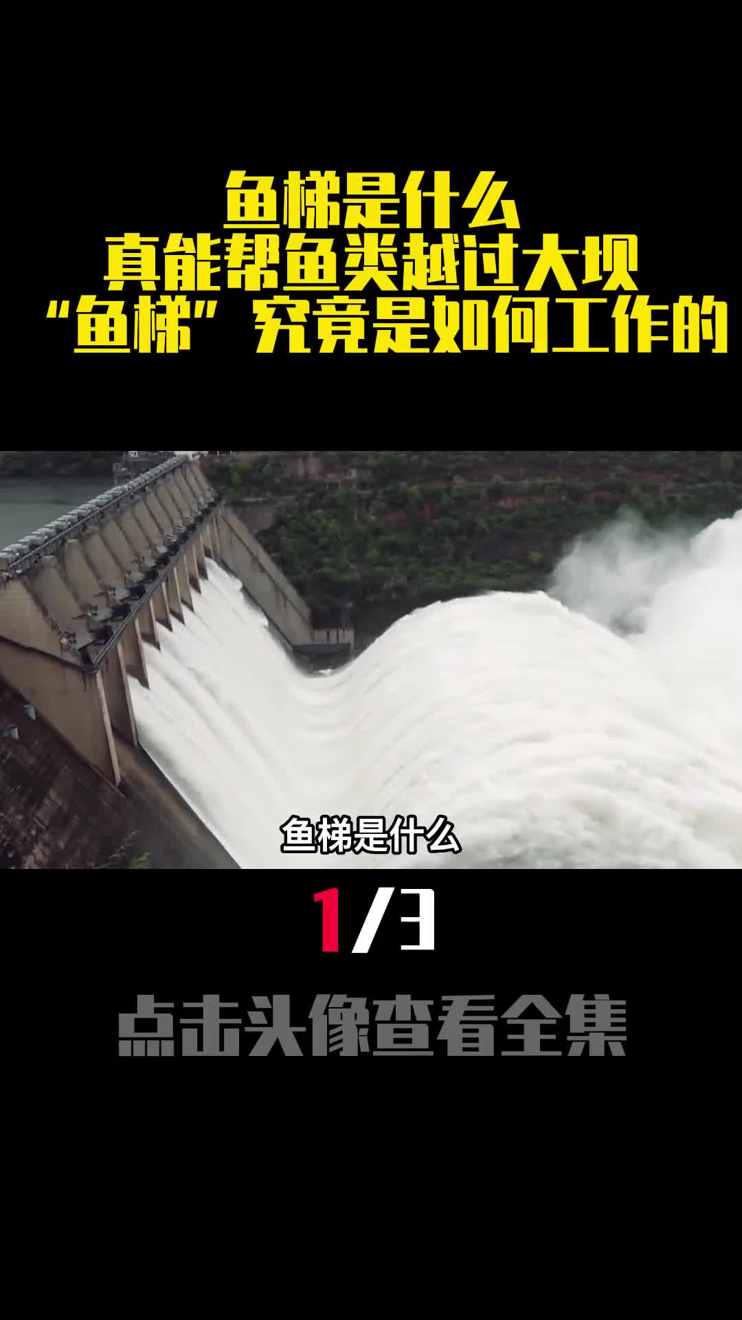 鱼梯是什么真能帮鱼类越过大坝鱼梯究竟是如何工作的1