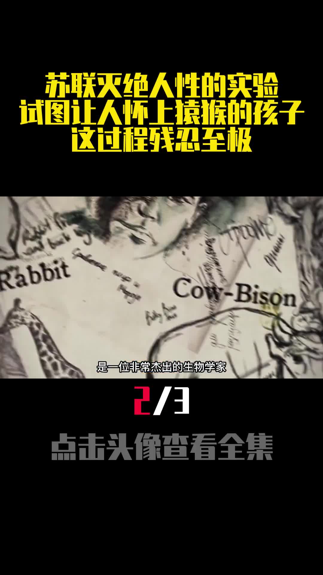 苏联灭绝人性的实验试图让人怀上猿猴的孩子这过程残忍至极