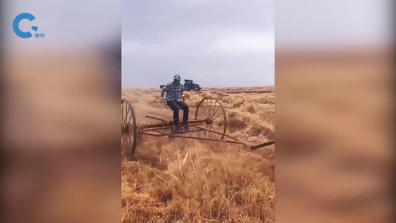 不可思议的马儿搂草机马拉着机器收集干草