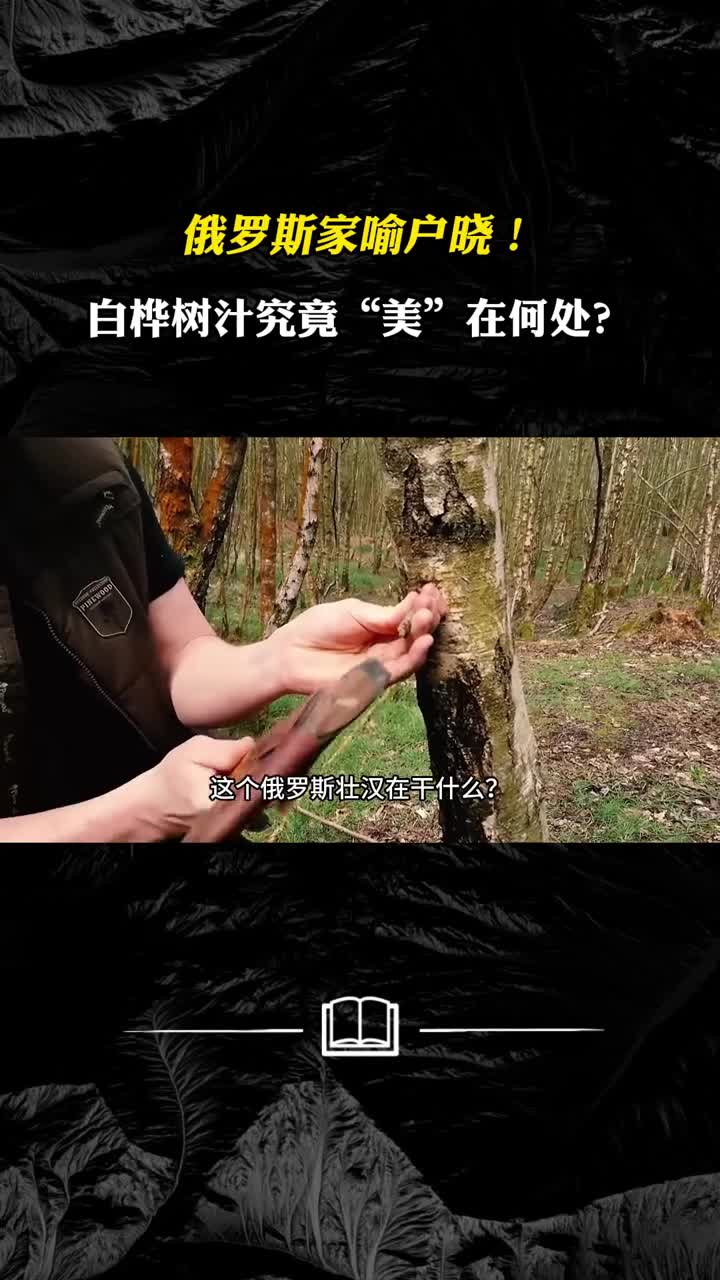 黄金液体白桦树汁过节访友必备好礼
