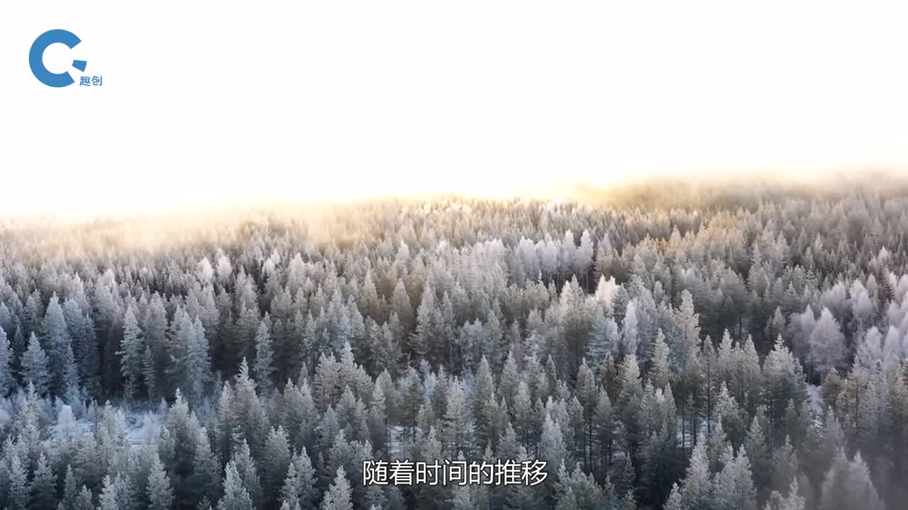 50岁大叔研发高科技防滑轮胎汽车秒变履带车售价仅需2000块