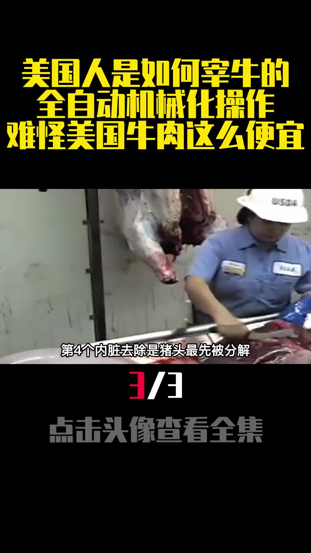 美国人是如何宰牛的全自动机械化操作难怪美国牛肉这么便宜3