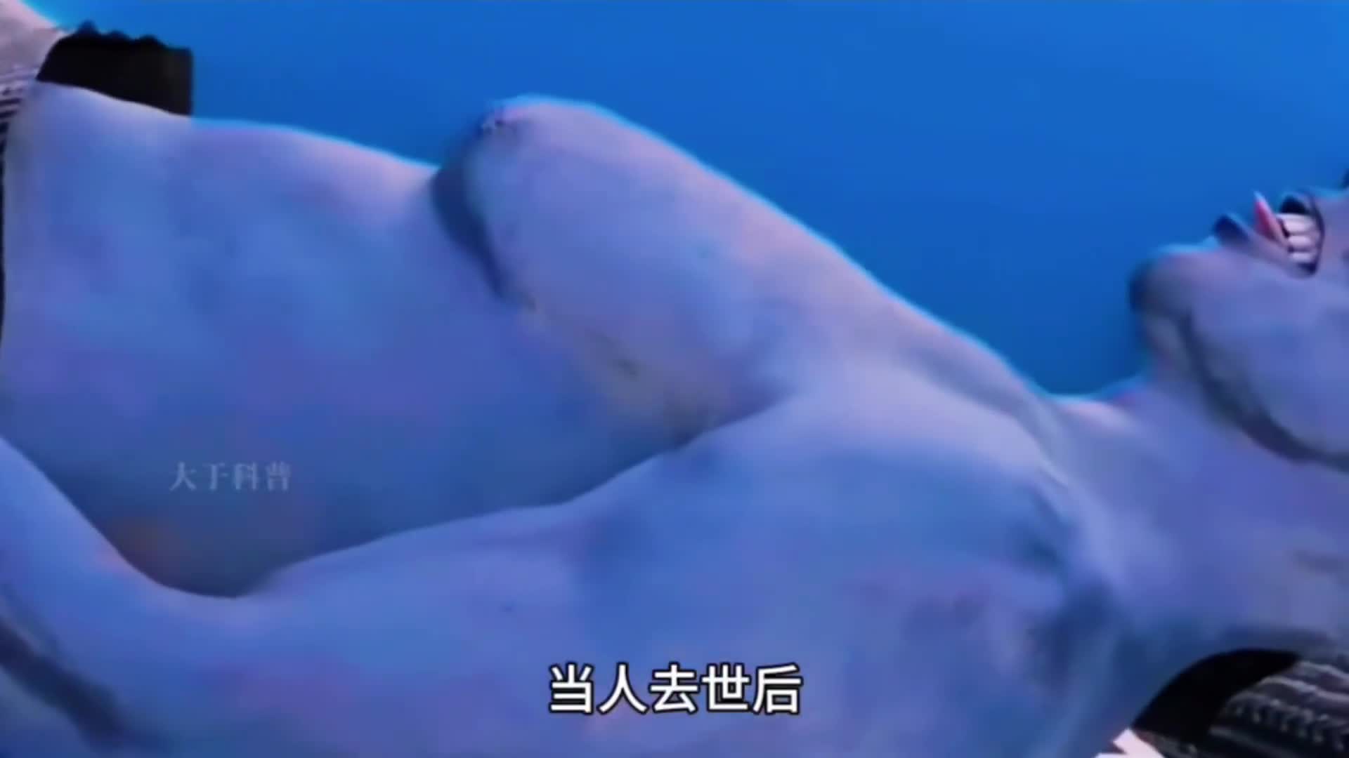 人亡故后尸体的奇妙变化人亡故后尸体的奇妙变化