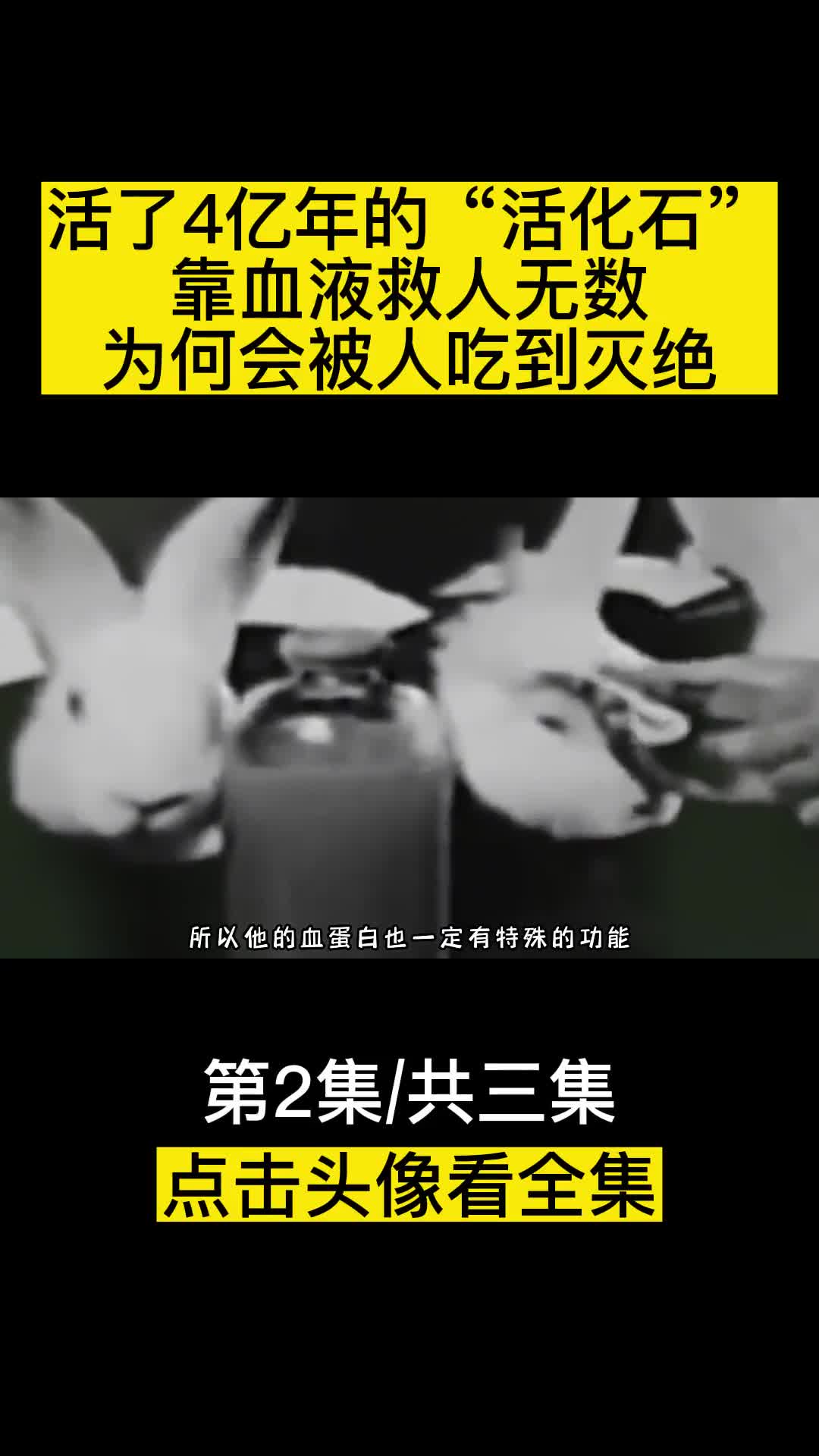 活了4亿年的活化石靠血液救人无数为何会被人吃到灭绝