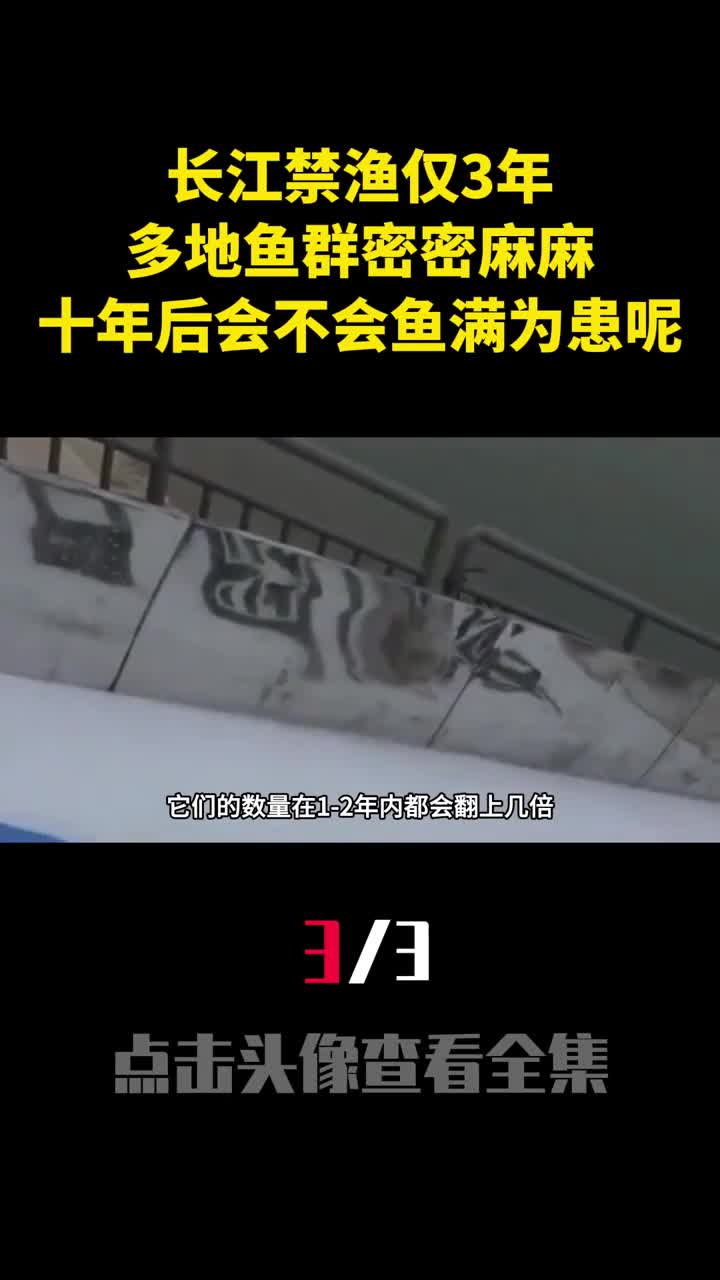 长江禁渔仅3年多地鱼群密密麻麻十年后会不会鱼满为患呢3