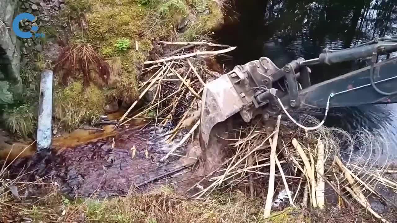 不可思议的河狸水坝人们边拆它边建