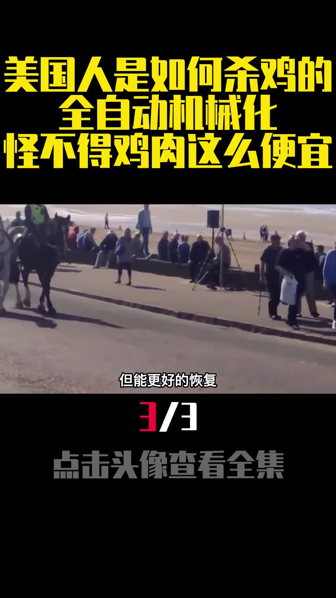 野马不需要马蹄铁为何家马却离不开马蹄铁究竟有啥用呢3