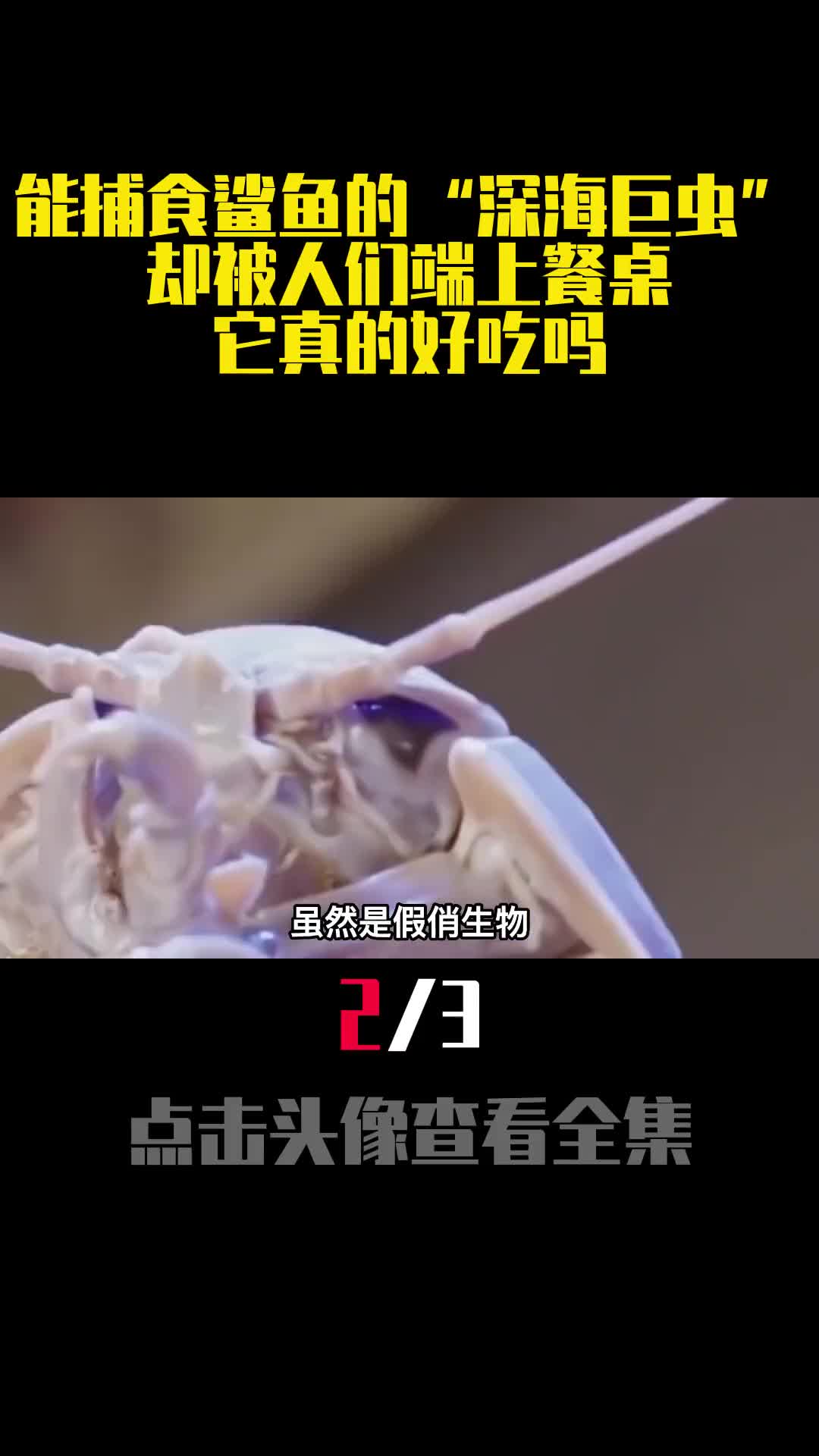 能捕食鲨鱼的深海巨虫却被人们端上餐桌它真的好吃吗2