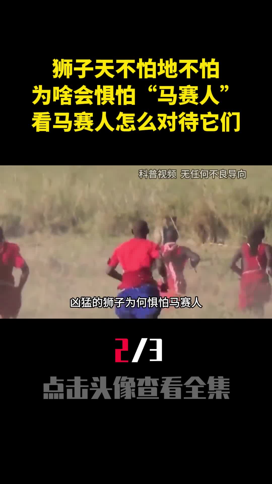 狮子天不怕地不怕为啥会惧怕马赛人看马赛人怎么对待它们2