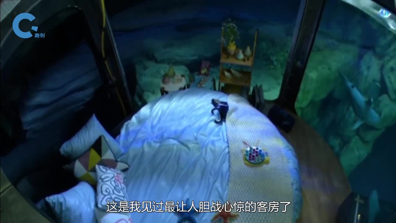 世界上最吓人的水下客房每天与35条鲨鱼同吃同睡你敢尝试吗