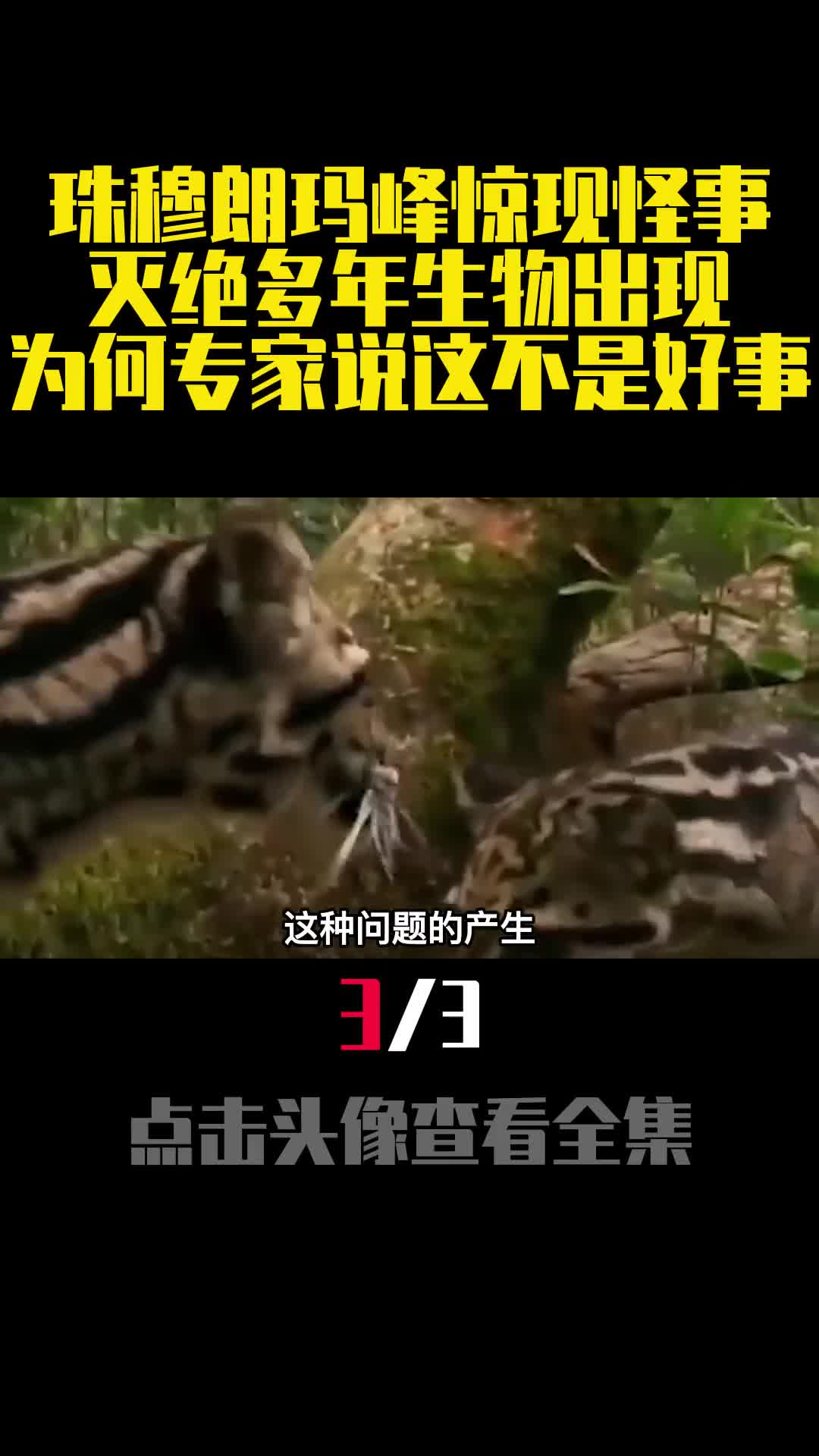 珠穆朗玛峰惊现怪事灭绝多年生物出现为何专家说这不是好事3