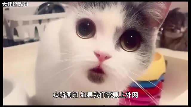 Win8系统设置LAN代理服务器的方法