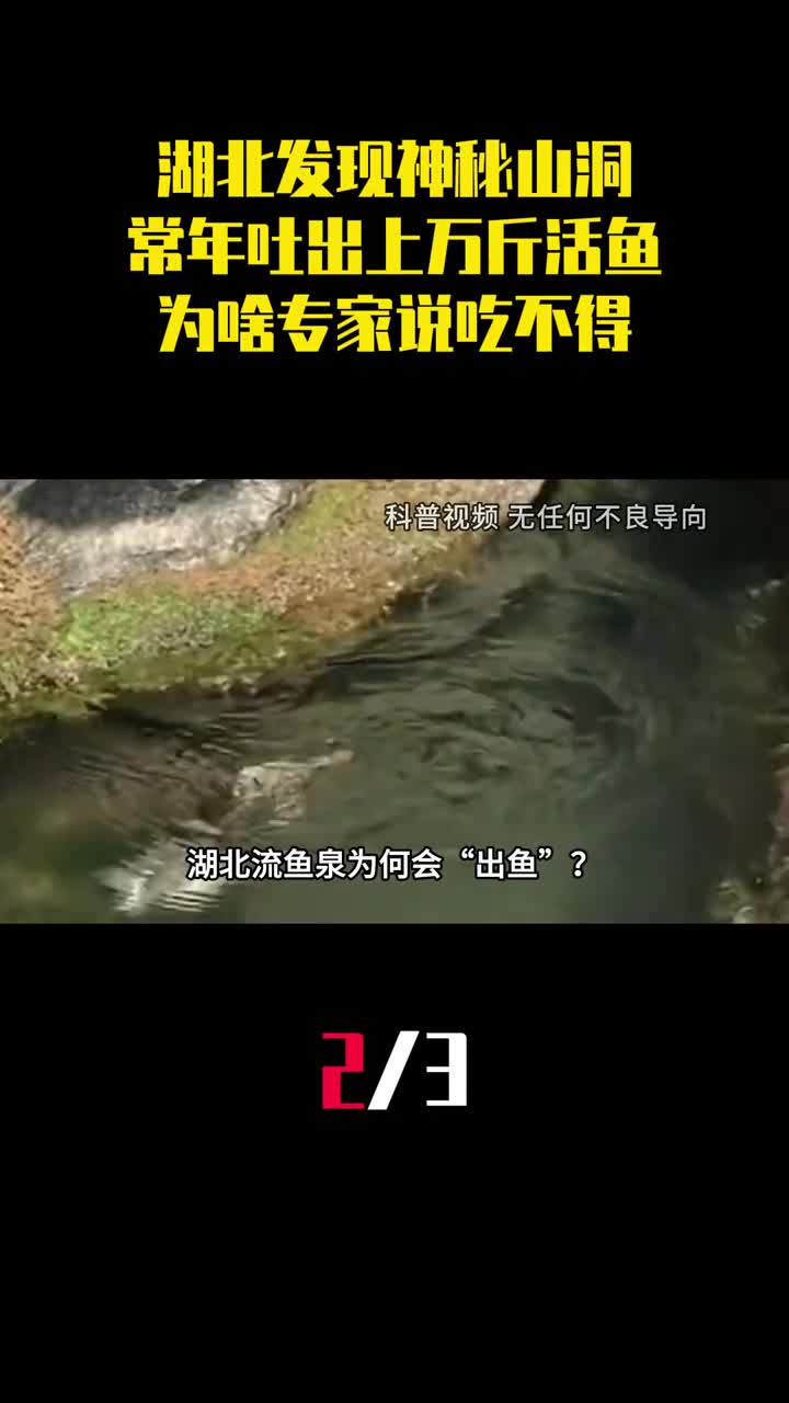 湖北发现神秘山洞常年吐出上万斤活鱼为啥专家说吃不得2