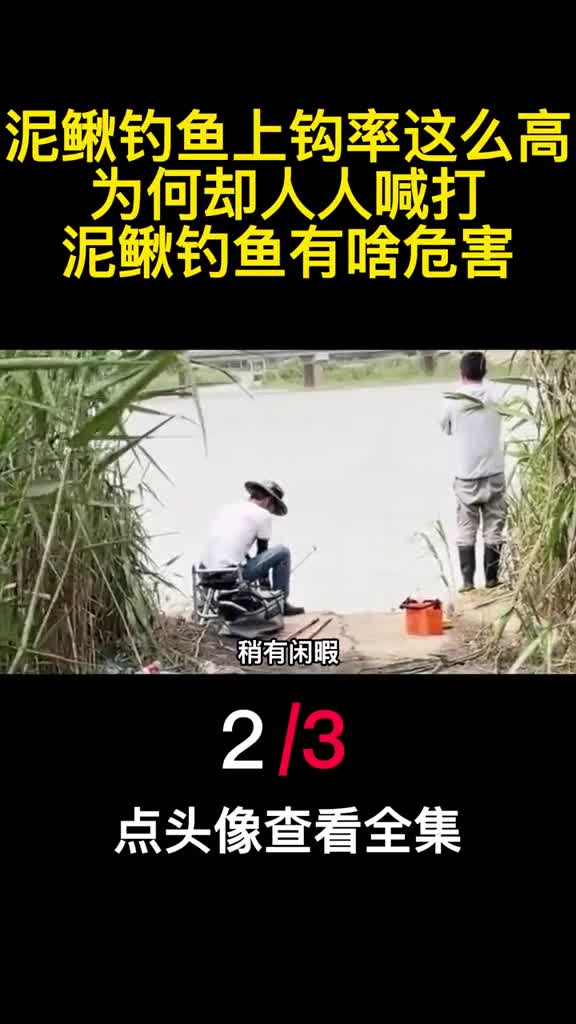 泥鳅钓鱼上钩率这么高为何却人人喊打泥鳅钓鱼有啥危害2