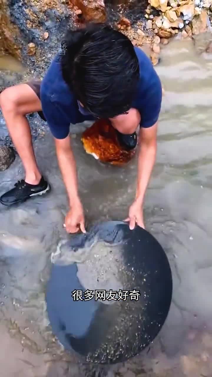 淘金究竟能不能赚钱